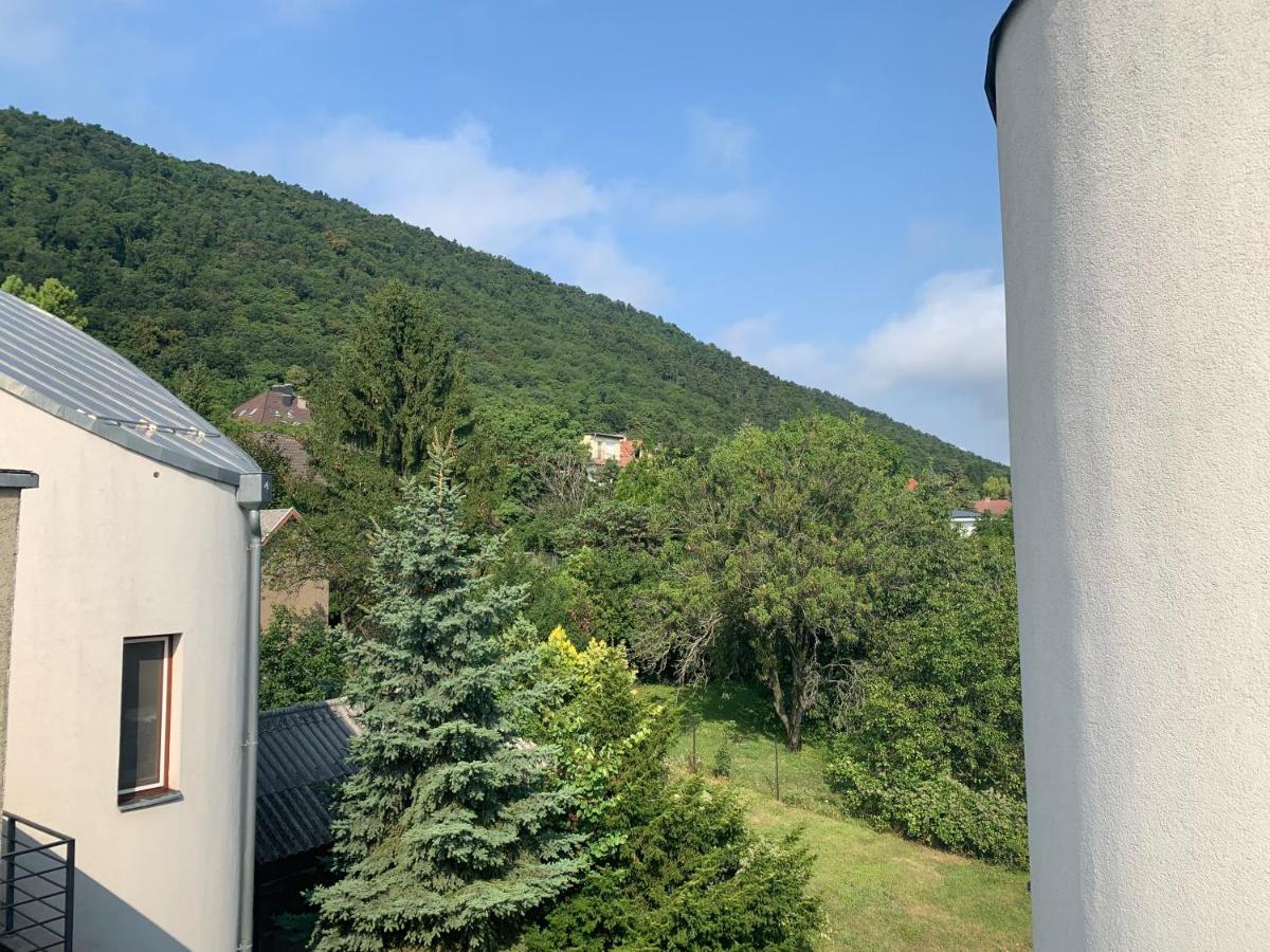Maharaja Mountain Palace With Free Privat Parking And Garden بودابست المظهر الخارجي الصورة